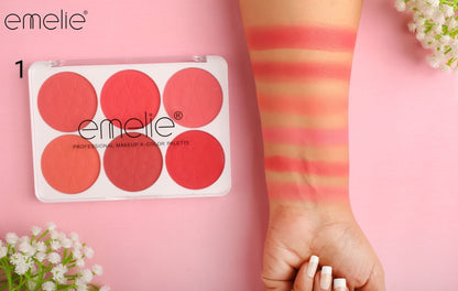 Matte Blusher 6 Color Pallete Emelie Cosmetics.pk