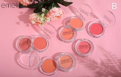Professional Makeup Blusher - Pack of 4 Emelie Cosmetics.pk