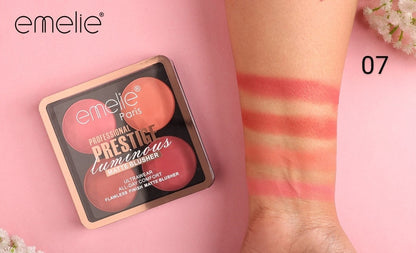 Professional Prestige Luminous Matte Blusher